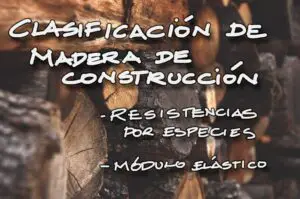 Lee más sobre el artículo Clasificación de grupos y especies de madera para la construcción