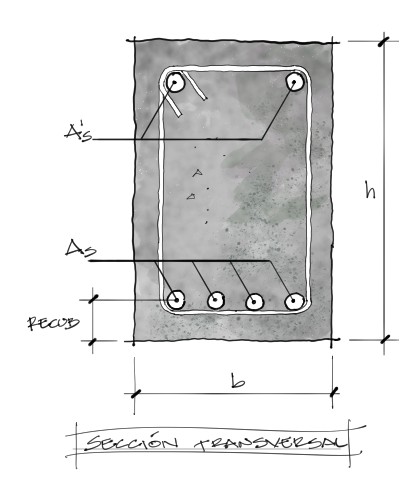 sección transversal de viga